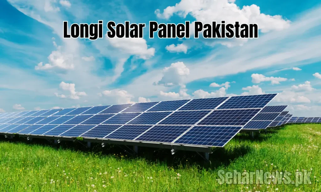  Longi Solar Panel Price in Pakistan
