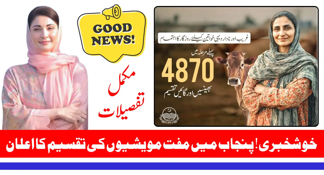 4780 Cattle Distribution scheme For Widowed and Divorced Women Via Livestock Card