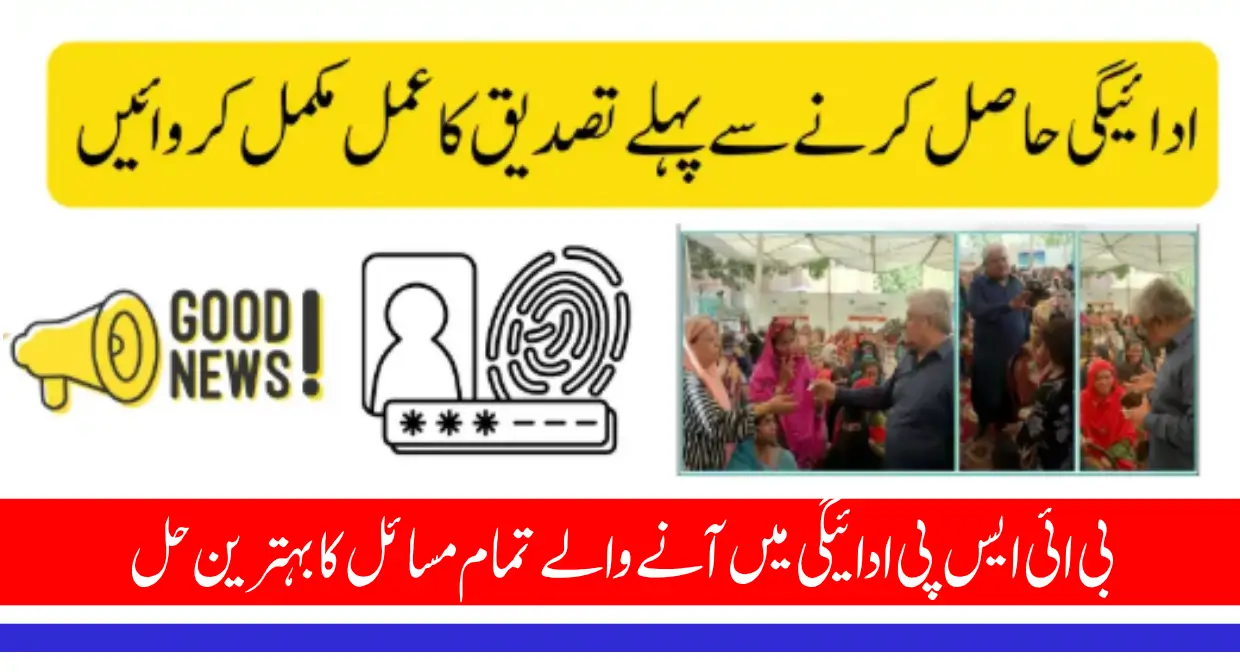 8171 Issues Solution and Verification Steps For BISP Payment Glitch