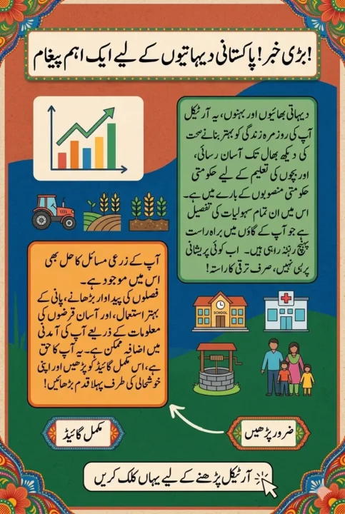 Loan Amount and Repayment Details