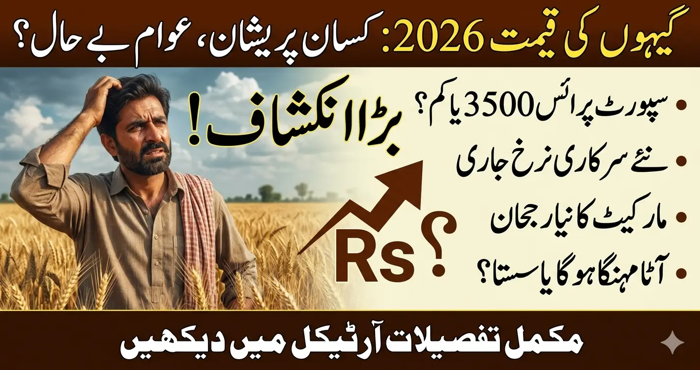 Wheat Price in 2026 Latest Rates Trends & Market Forecast