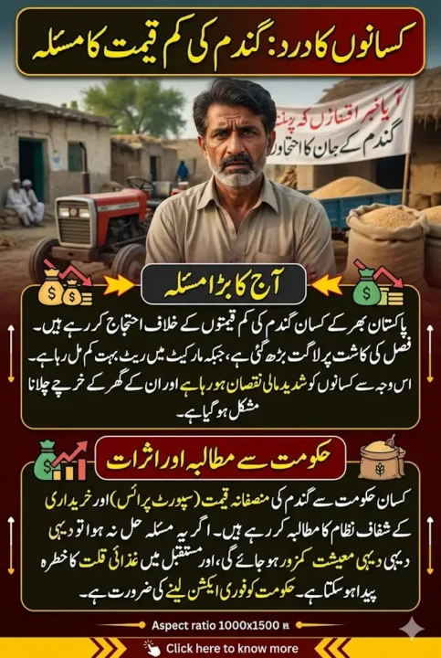 Why Farmers Protest Low Wheat Prices